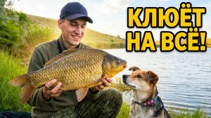 ВОТ ЭТО РЫБАЛКА! КЛЮЁТ НА ВСЁ! ГОТОВИМ ЕДУ В ДИКИХ УСЛОВИЯХ.