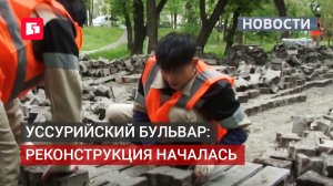 Реконструкция Уссурийского бульвара: семейный сквер и велодорожка. 05/06/2026.