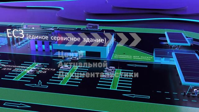 Контент выставка 2024