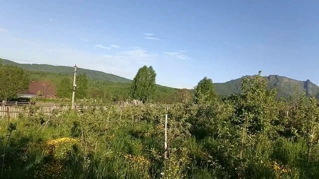 Пришёл в сад, а там!
