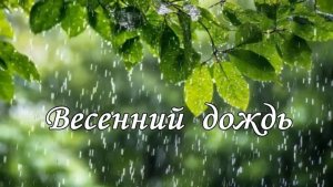 ВЕСЕННИЙ ДОЖДЬ  Монтаж Татьяны Панченко