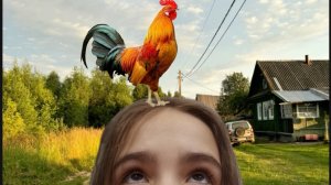 еду к бабушке 🐓