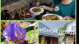 Дачные дни пролетают. Жара и грозы. Блины со свежей зеленью.