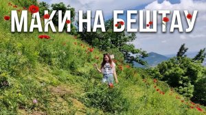 МАКИ НА БЕШТАУ