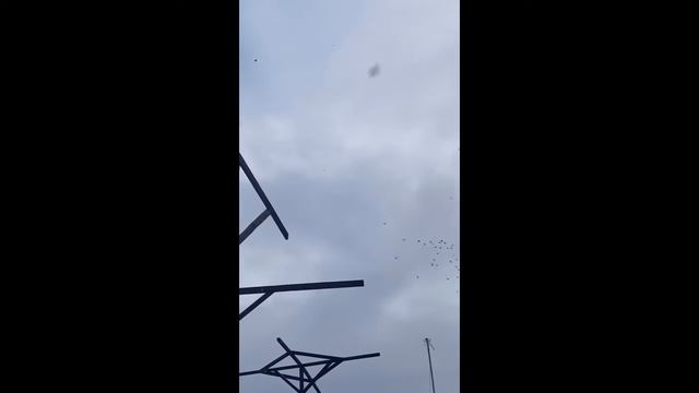 Гармония в жизни. Любите всё что вас окружает  Мехди