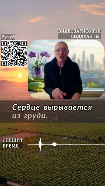 Спешит время. Видеозарисовки Сиддханты (Вячеслава Чернина)