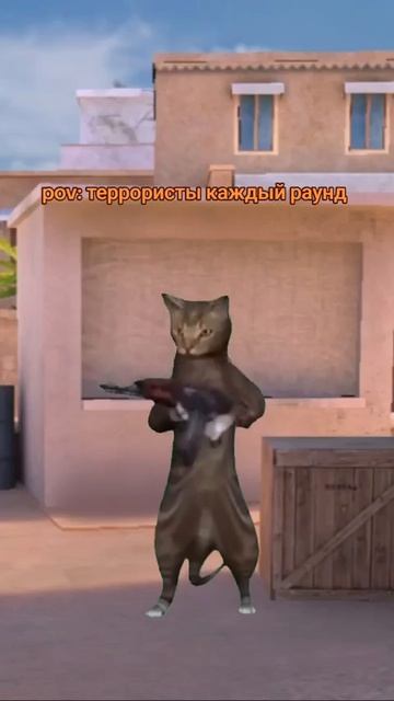 ТЕРИК В standoff 2