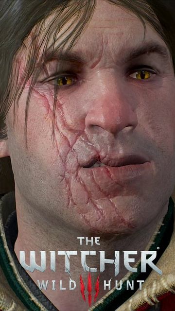 Я простой ведьмак. Эскель о себе и Геральте в Каэр Морхене. The Witcher 3 - Wild Hunt shorts