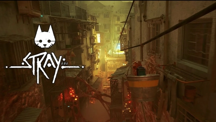 Stray поиск квартир Аутсайдеров!