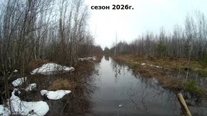 На весеннего селезня с манком.