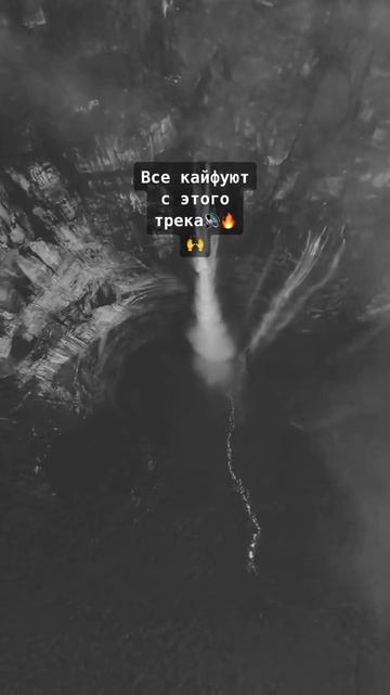 ТВОЯ МУЗЫКА