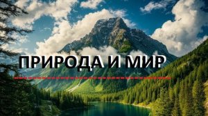 Природа и Мир  Познавательные сюжеты.