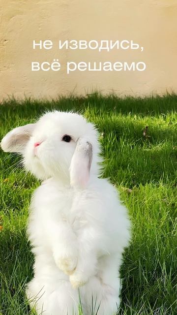 Совет дня!