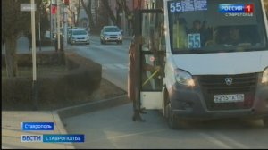 Приостановка работы трех маршрутов в Ставрополе создала трудности для жителей
