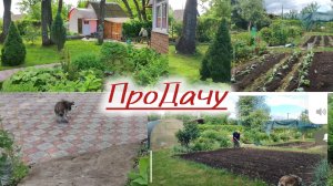 Женские грядки и работа мужская. ПроДачу!