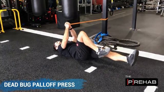Anti-Rotation Core Exercises | Антиротац удержание в гиперэкст + выжимания веса