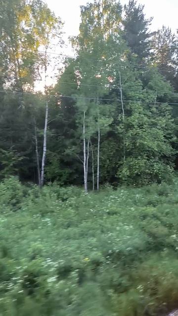 VID_20260604_195613