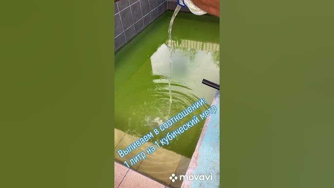 Перекись против цветущего бассейна