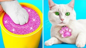 Мы берем САМОГО Бунтарского котенка!😼💖 Удивительные трюки для домашних животных!