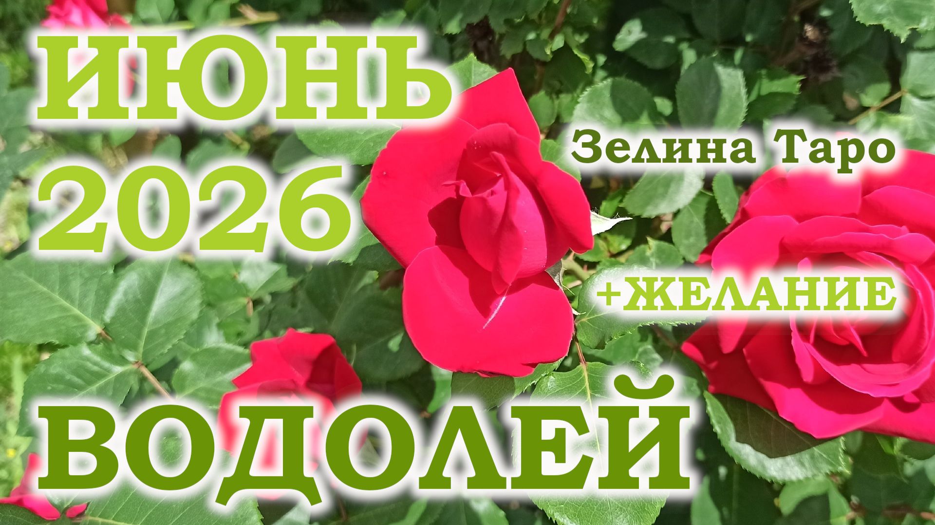 ВОДОЛЕЙ | ТАРО прогноз на ИЮНЬ 2026 года | Желание | Расклад таро смотреть онлайн