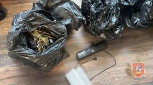 Полиция изобличила приезжего с Ближнего Востока, изготавливавшего марихуану в подмосковной квартире