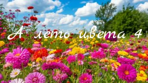 СП «А лето цвета 4» Первый отчет