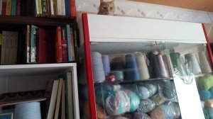 События одного дня. Аж 3 новых процесса. Позвонила сестре, она с внуком в онкологии. Садоводство.
