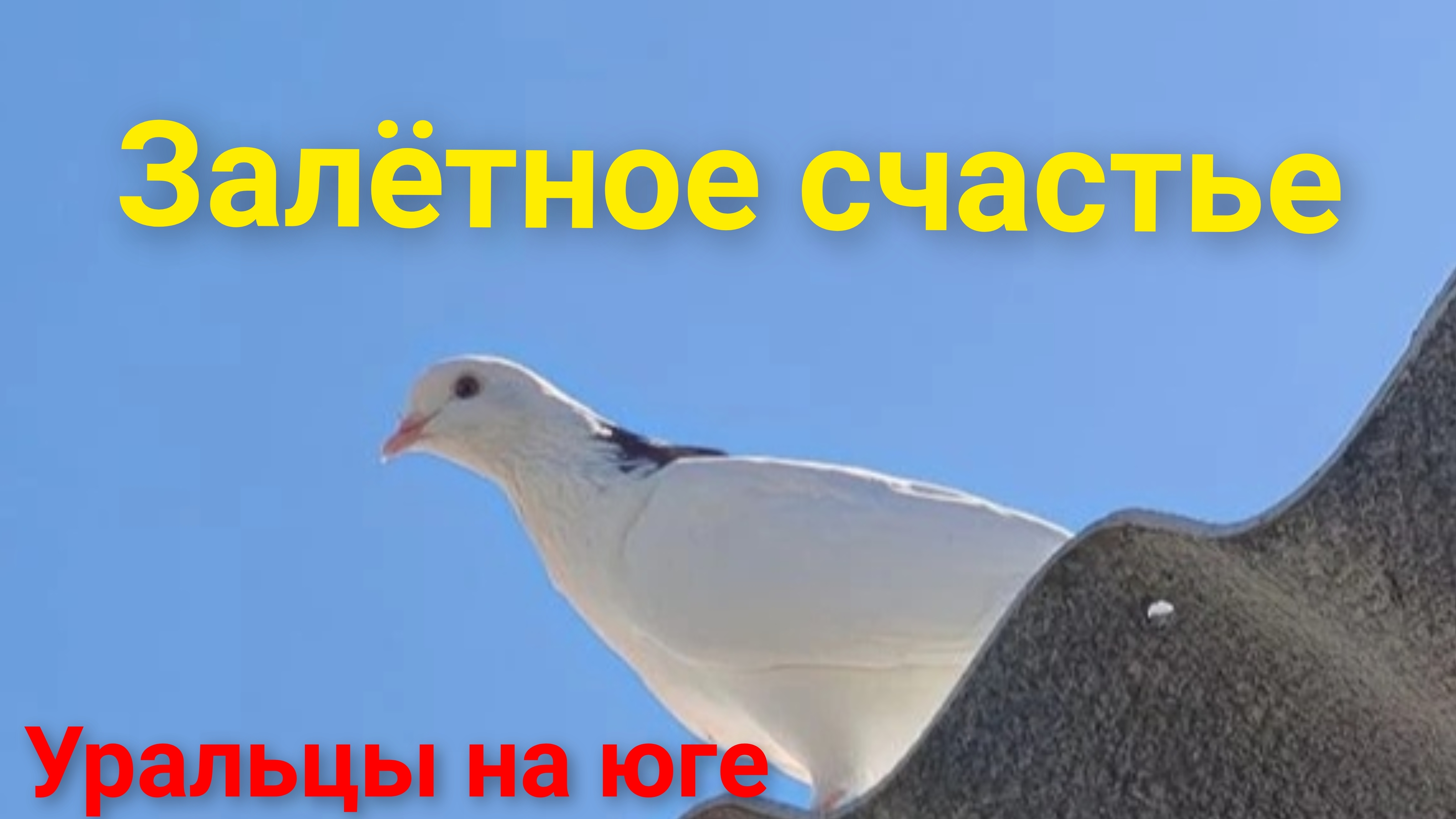Уральцы на юге/Снова в строю.Штабист. смотреть онлайн
