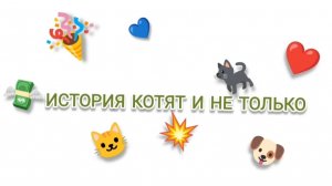 Фильм История котят и не только 6 серия