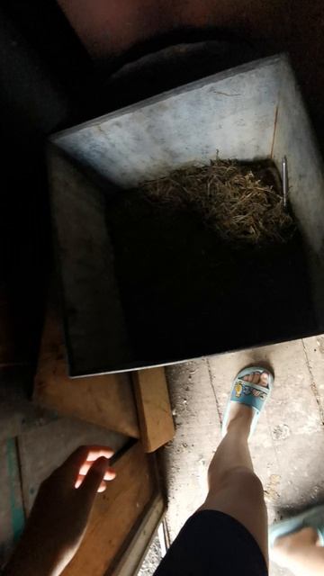 VID_20260605_163753.mp4