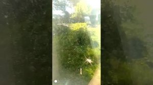 рум тур моей деревни