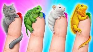 Строим Домики для Животных # Смешные Cитуации c