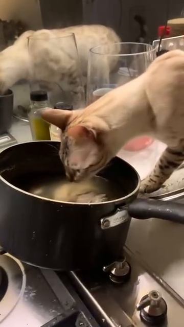 Кушать подано