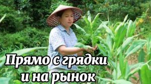 Свежие овощи прямо с грядки — на деревенском рынке.
