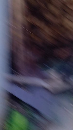 он