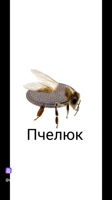 Часть 3
