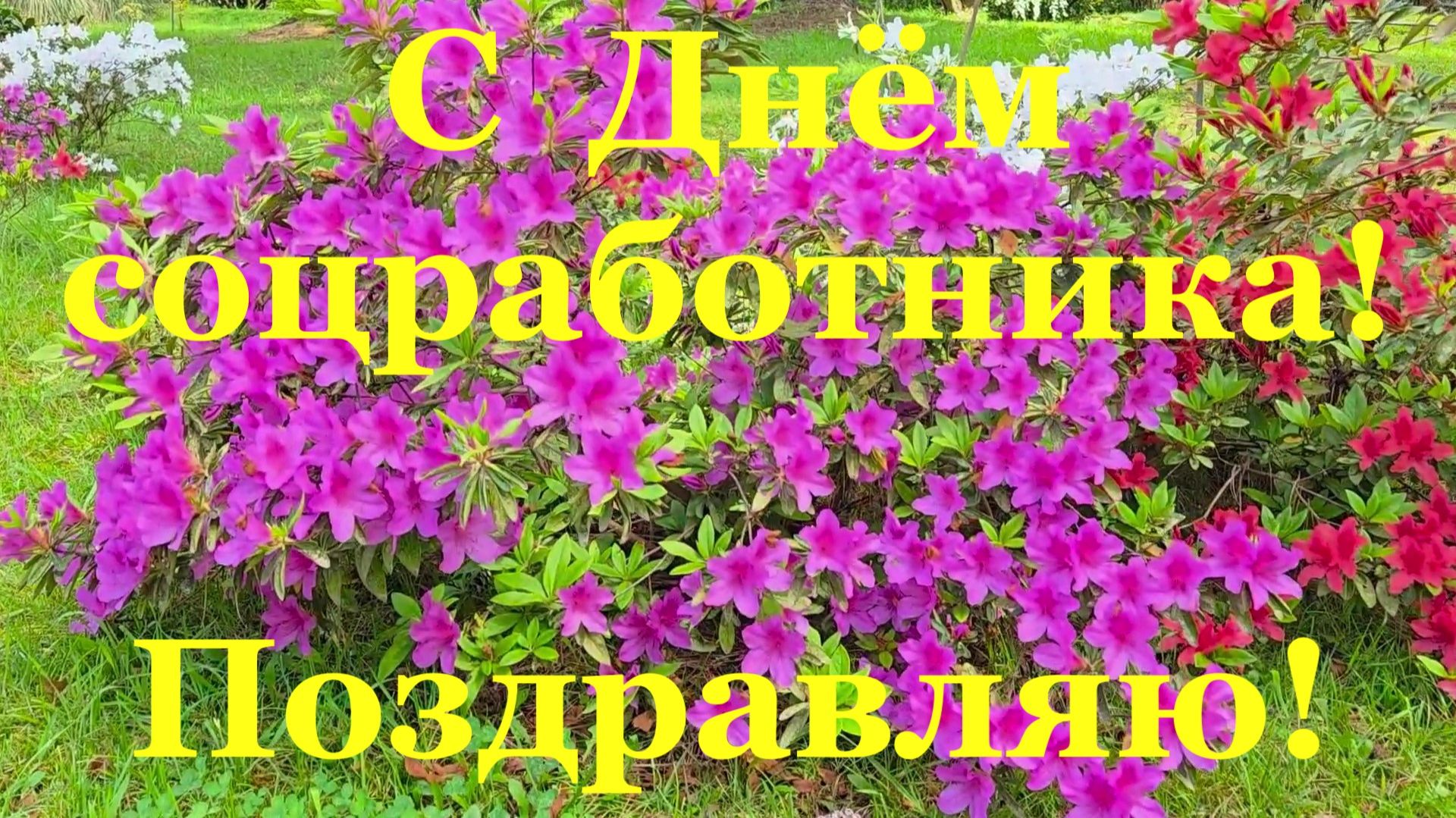С Днём социального работника поздравление соцработника!