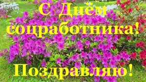 С Днём социального работника поздравление соцработника!