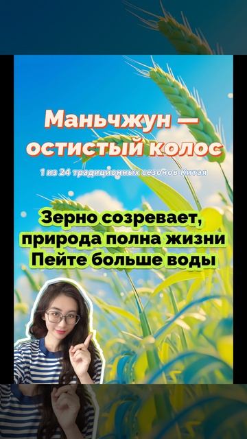 Сегодня в Китае наступил сезон Маньчжун  один из 24 традиционных солнечных сезонов.