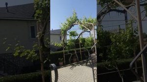 паркур