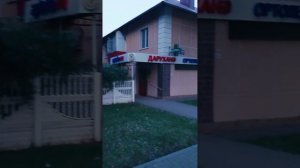 Зелёный цвет памяти 🌺