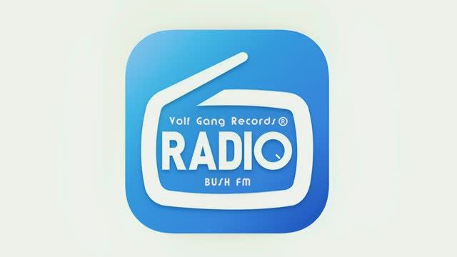 Volf Gang Records®: Radio Bush FM смотреть онлайн