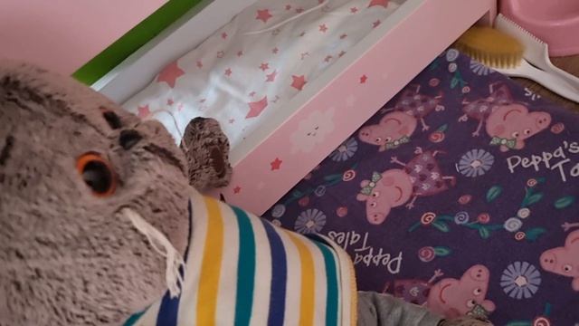 Этого некто не ожидал Влог