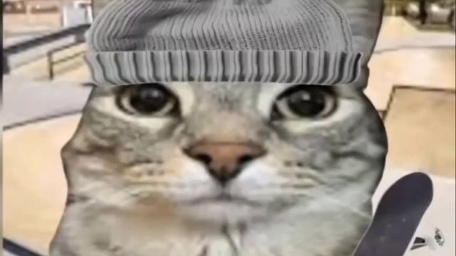 58