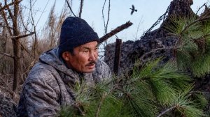 Охота на боровую дичь | С полем!