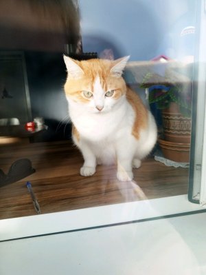 камера наблюдения перед домом