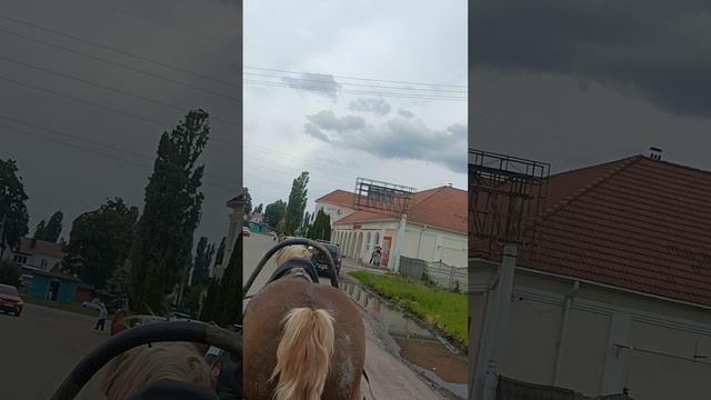 поездка в эртиль