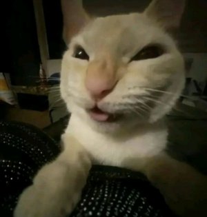 стримоооок