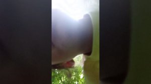 Прятки.