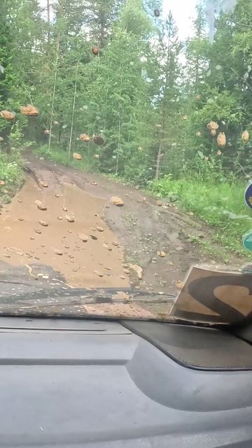 Когда маршрутчик решил срезать. смотреть онлайн